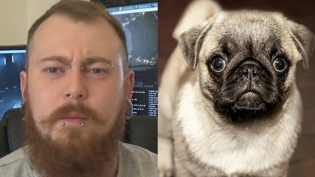 Nazi Pugs and Free Speech in Modern Britain